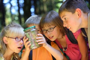 des enfants observent des insectes dans la nature lors d'un voyage scolaire